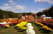 NJ_Farm_Stand_in_Autumn.jpg